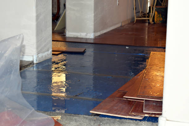 Professional Water Extraction technician working in Columbia, IA